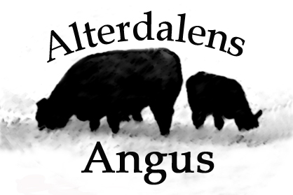 Alterdalens Angus